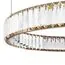 LOFT IT 10135/1000 Gold Подвесной светильник Crystal ring, изображение 3
