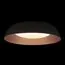 LOFT IT 10229 Black Потолочный светильник Cappello, изображение 2