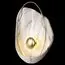 LOFT IT 10043 White Бра Clam, изображение 5