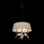 LOFT IT LOFT1029A-2 Подвесной светильник Birds, изображение 2