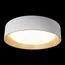 LOFT IT 10202 White Потолочный светильник Coin, изображение 2