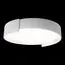 LOFT IT 10200 White Потолочный светильник Coin, изображение 2