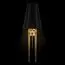 LOFT IT 10207W/L Gold Настенный светильник Brunilde, изображение 4