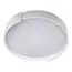 LOFT IT 10200 White Потолочный светильник Coin, изображение 3
