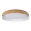 LOFT IT 10198 White Потолочный светильник Coin, изображение 3