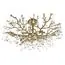 LOFT IT 10351/800C AB Потолочная люстра Coral, изображение 3