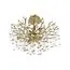 LOFT IT 10351/460C AB Потолочная люстра Coral, изображение 3
