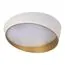 LOFT IT 10199 White Потолочный светильник Coin, изображение 5