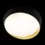 LOFT IT 10199 Black Потолочный светильник Coin, изображение 4