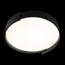 LOFT IT 10200 Black Потолочный светильник Coin, изображение 4
