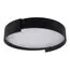 LOFT IT 10200 Black Потолочный светильник Coin, изображение 5