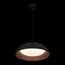 LOFT IT 10229P Black Подвесной светильник Cappello, изображение 4