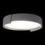 LOFT IT 10200 Grey Потолочный светильник Coin, изображение 2