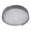 LOFT IT 10200 Grey Потолочный светильник Coin, изображение 3