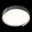 LOFT IT 10200 Grey Потолочный светильник Coin, изображение 4