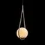LOFT IT LOFT2599-B Подвесной светильник Glob, изображение 4