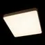 LOFT IT 10228/D Потолочный светильник Flims, изображение 8