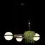 LOFT IT 10121/3 Dark grey Подвесной светильник Jardin, изображение 2