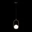 LOFT IT LOFT2595-A Подвесной светильник Glob, изображение 2