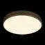 LOFT IT 10228/A Потолочный светильник Flims, изображение 2