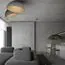 LOFT IT 10197/500 Grey Потолочный светильник Egg, изображение 7