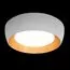 LOFT IT 10255/500 White Потолочный светильник Folk, изображение 2