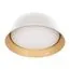 LOFT IT 10224 White Потолочный светильник Evans, изображение 3