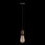 LOFT IT LOFT1153 Подвесной светильник Holder, изображение 2