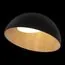 LOFT IT 10197/500 Black Потолочный светильник Egg, изображение 2