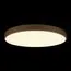 LOFT IT 10228/B Потолочный светильник Flims, изображение 4