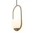 LOFT IT LOFT2595-A Подвесной светильник Glob, изображение 3