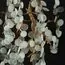 LOFT IT 10066W GB Бра Fairytree, изображение 7