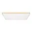 LOFT IT 10228/E Потолочный светильник Flims, изображение 5