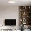 LOFT IT 10228/B Потолочный светильник Flims, изображение 7