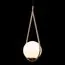 LOFT IT LOFT2599-A Подвесной светильник Glob, изображение 4