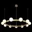 LOFT IT 10311/11 Подвесной светильник Hoop, изображение 2