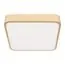 LOFT IT 10228/C Потолочный светильник Flims, изображение 5