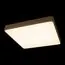 LOFT IT 10228/D Потолочный светильник Flims, изображение 2