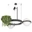 LOFT IT 10121/2 Dark grey Подвесной светильник Jardin, изображение 5