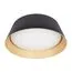 LOFT IT 10224 Black Потолочный светильник Evans, изображение 3