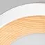 LOFT IT 10255/350 White Потолочный светильник Folk, изображение 4