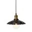 LOFT IT LOFT1101 Подвесной светильник Factory filament, изображение 3