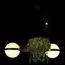 LOFT IT 10121/2 Подвесной светильник Jardin, изображение 4