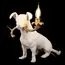 LOFT IT 10312 White Настольная лампа Dog, изображение 4