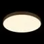 LOFT IT 10228/B Потолочный светильник Flims, изображение 2