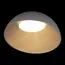 LOFT IT 10197/500 Grey Потолочный светильник Egg, изображение 2