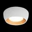 LOFT IT 10255/350 White Потолочный светильник Folk, изображение 2