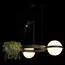 LOFT IT 10121/2 Dark grey Подвесной светильник Jardin, изображение 2