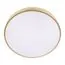 LOFT IT 10228/A Потолочный светильник Flims, изображение 5