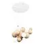 LOFT IT 10161 Light wood Подвесной светильник Ginger, изображение 3